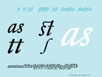 DTLElzevirT Book Alt Italic Italic 001.000图片样张