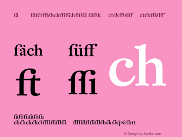 DTLFleischmannD Alt Medium Medium 001.000 Font Sample