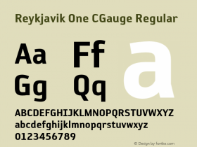 Reykjavik One CGauge Regular OTF 1.0;PS 001.000;Core 116;AOCW 1.0 161图片样张