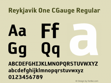 Reykjavik One CGauge Regular OTF 1.0;PS 001.000;Core 116;AOCW 1.0 161 Font Sample