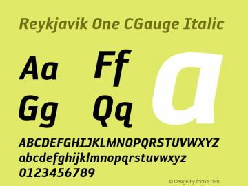 Reykjavik One CGauge Italic OTF 1.0;PS 001.000;Core 116;AOCW 1.0 161 Font Sample