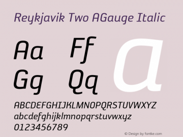 Reykjavik Two AGauge Italic OTF 1.0;PS 001.000;Core 116;AOCW 1.0 161图片样张