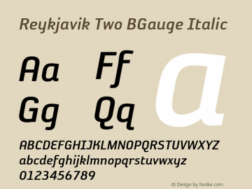 Reykjavik Two BGauge Italic OTF 1.0;PS 001.000;Core 116;AOCW 1.0 161图片样张