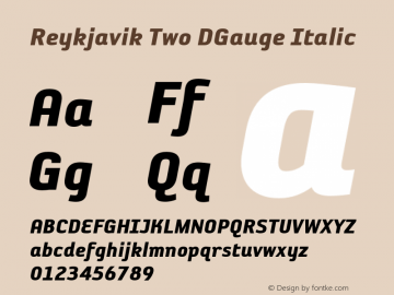 Reykjavik Two DGauge Italic OTF 1.0;PS 001.000;Core 116;AOCW 1.0 161图片样张