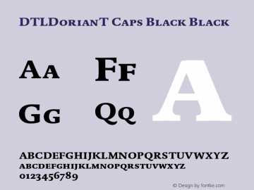 DTLDorianT Caps Black Black 001.000图片样张