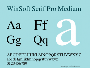 WinSoft Serif Pro Medium Version 1.31; 2004 Font Sample