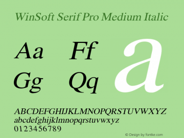 WinSoft Serif Pro Medium Italic Version 1.31; 2004 Font Sample