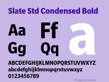 Slate Std Condensed Bold Version 2.000图片样张