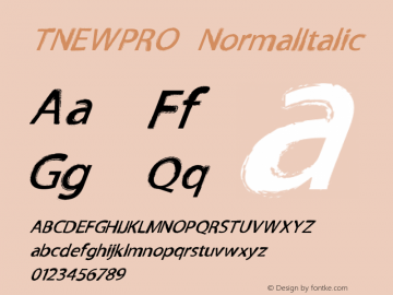 TNEWPRO NormalItalic Macromedia Fontographer 4.1 27/03/2009图片样张