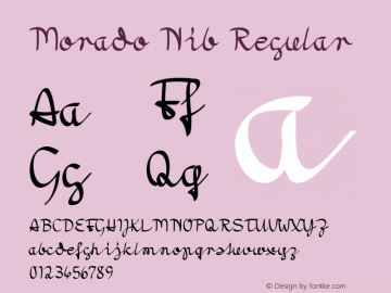 Morado Nib Regular Version 1.0图片样张