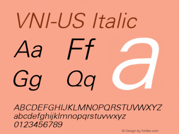 VNI-US Italic 1.0 Thu Feb 09 15:56:36 1995图片样张