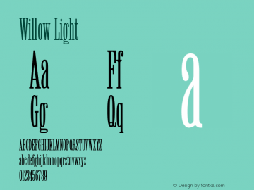 Willow Light 001.001 Font Sample