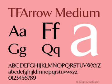 TFArrow Medium Version 001.000图片样张