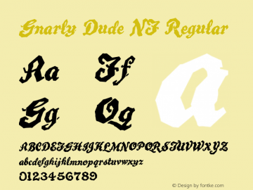 Gnarly Dude NF Regular Version 1.000 2005 initial release Font Sample