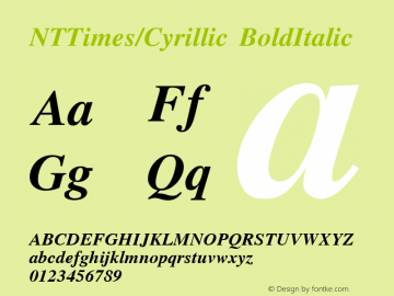 NTTimes/Cyrillic BoldItalic Unknown Font Sample