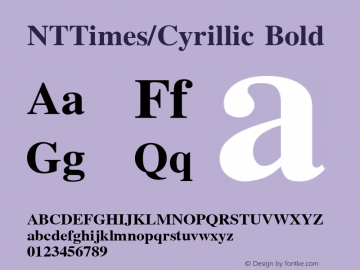 NTTimes/Cyrillic Bold Unknown Font Sample