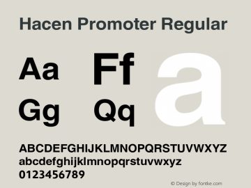 Hacen Promoter Regular Version 1.00 2006图片样张