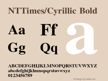 NTTimes/Cyrillic Bold Unknown Font Sample