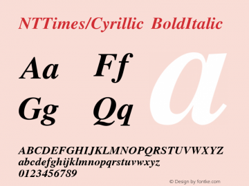 NTTimes/Cyrillic BoldItalic Unknown Font Sample