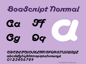 BoaScript Normal 1.0 Fri May 14 14:20:36 1999图片样张