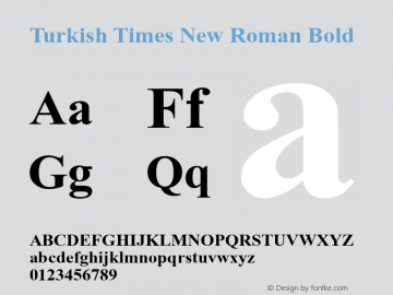 Turkish Times New Roman Bold MS core font:V1.00 Font Sample
