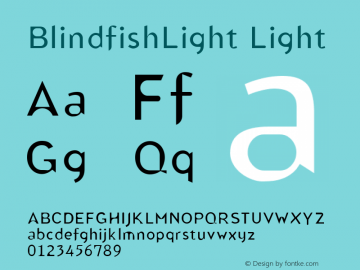 BlindfishLight Light Version 1.00图片样张