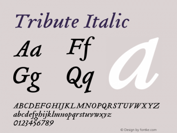 Tribute Italic Macromedia Fontographer 4.1.3 04/19/2002图片样张