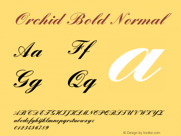 Orchid Bold Normal 1.0 Mon May 03 13:37:53 1993 Font Sample