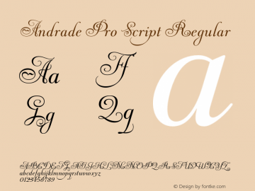 Andrade Pro Script Regular Version 1.0 Font Sample
