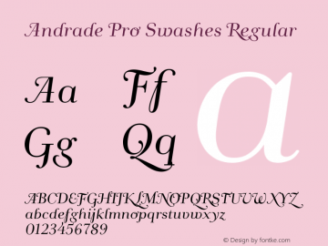 Andrade Pro Swashes Regular Version 1.0图片样张