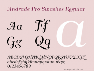 Andrade Pro Swashes Regular Version 1.0图片样张