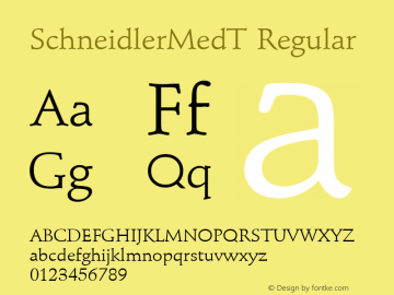 SchneidlerMedT Regular Version 001.005 Font Sample