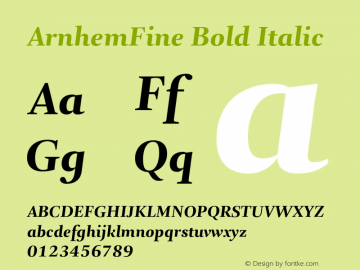 ArnhemFine Bold Italic Version 1.0 | By Fred Smeijers, Fsm plus, Ourtype, 2002 | Homemade Opentype version.图片样张