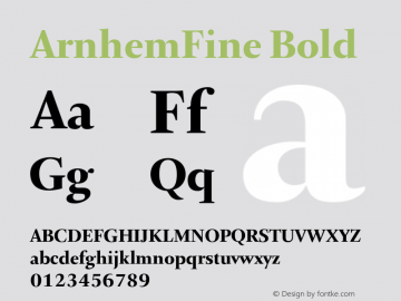 ArnhemFine Bold Version 1.0 | By Fred Smeijers, Fsm plus, Ourtype, 2002 | Homemade Opentype version. Font Sample