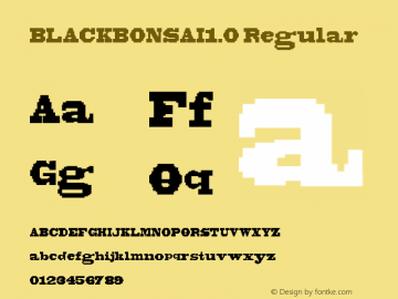 BLACKBONSAI1.0 Regular Version 1.0图片样张
