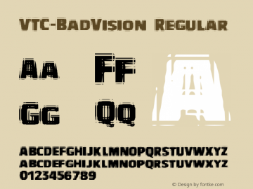 VTC-BadVision Regular Version 1.001 2010图片样张