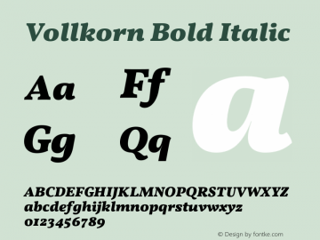 Vollkorn Bold Italic Version 3.002;PS 003.002;hotconv 1.0.70;makeotf.lib2.5.58329 Font Sample