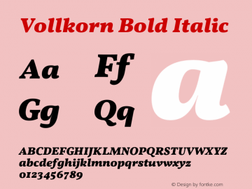 Vollkorn Bold Italic Version 3.005;PS 003.005;hotconv 1.0.70;makeotf.lib2.5.58329 Font Sample