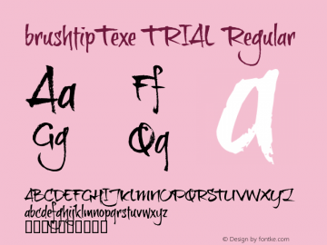 brushtipTexe TRIAL Regular Macromedia Fontographer 4.1 30-10-2009 Font Sample