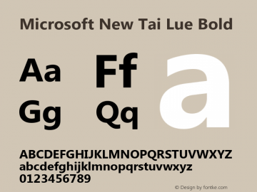 Microsoft New Tai Lue Bold Version 5.96图片样张