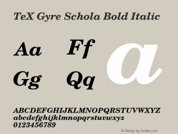 TeX Gyre Schola Bold Italic Version 1.103;PS 1.103;hotconv 1.0.49;makeotf.lib2.0.14853图片样张