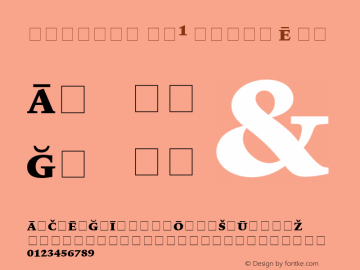 Lexicon No1 Roman E Pi 001.000图片样张