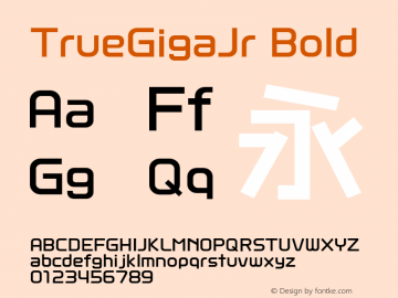 TrueGigaJr Bold 97.08.19 Visual Design Laboratory, Inc. Version 1.00TT图片样张