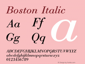 Boston Italic Publisher's Paradise -- Media Graphics International Inc.图片样张