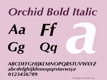 Orchid Bold Italic July 7, 1992; 1.01图片样张