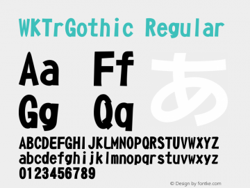 WKTrGothic Regular V3.0 Font Sample