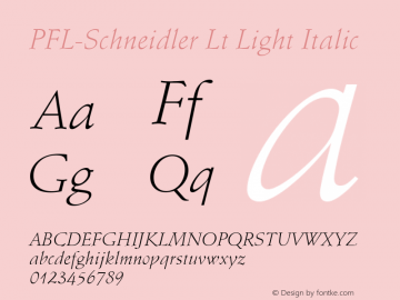 PFL-Schneidler Lt Light Italic 2.0 Sat Sep 18 12:23:57 1993图片样张