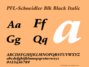 PFL-Schneidler Blk Black Italic 2.0 Sat Sep 18 12:23:57 1993图片样张