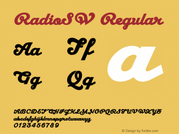 RadioSW Regular Macromedia Fontographer 4.1.5 12 18 98图片样张