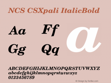 NCS CSXpali ItalicBold Version 001.001图片样张